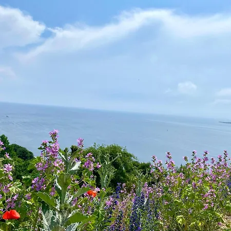 Дом отдыха Seeblick Виселка