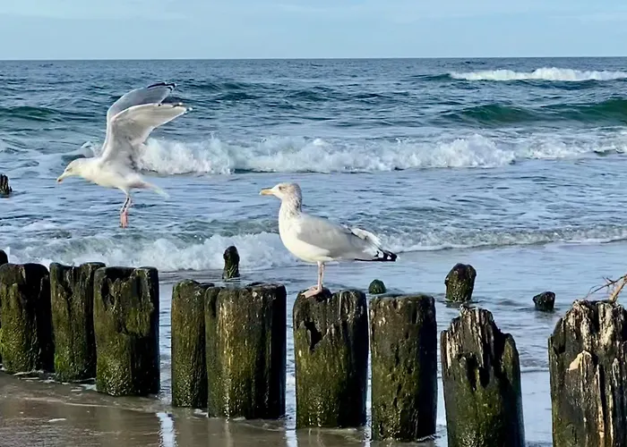 Дом отдыха Seeblick