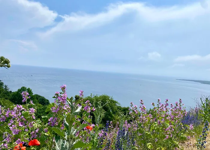 Дом отдыха Seeblick Виселка